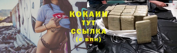 дурь Инсар
