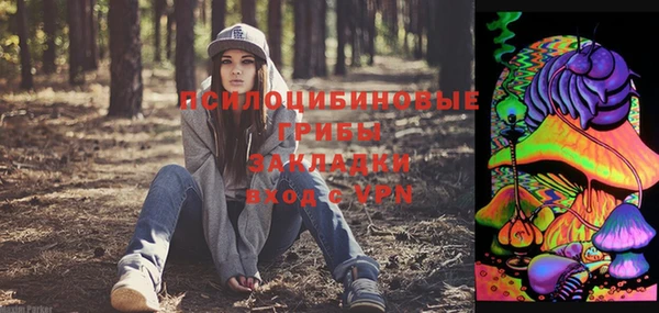 дурь Инсар
