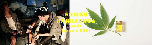 дурь Инсар