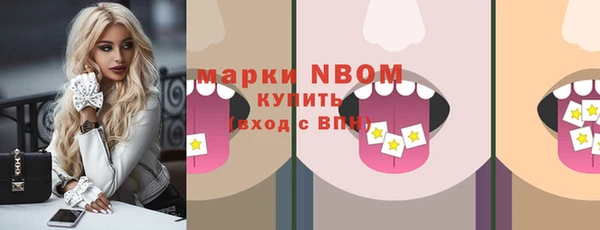 дурь Инсар