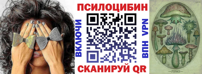 Псилоцибиновые грибы Psilocybe  Купить закладки  Болгар 